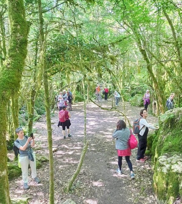 Chemin initiatique Forêt de Nébias