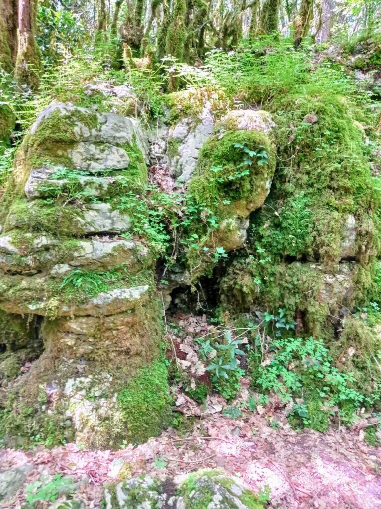 Journée Forêt de Nébias