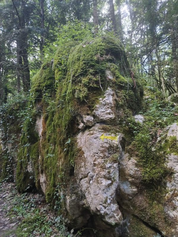 Sortie Forêt de Nébias