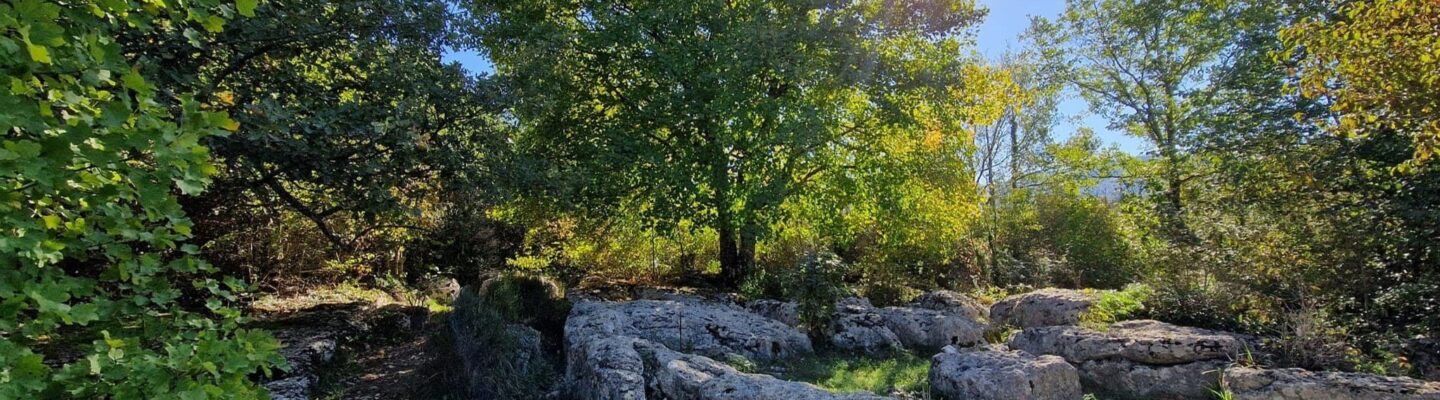 Sortie Soin Forêt de Nébias